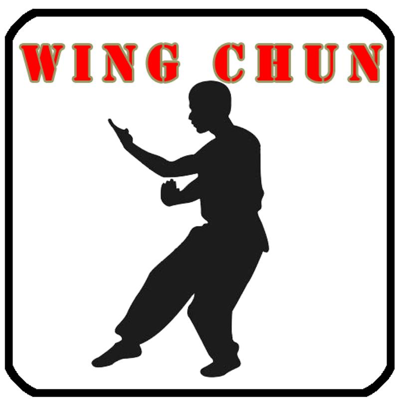 Wing chun training videos free download video